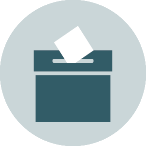 Benefits Icon Institutional Vote
